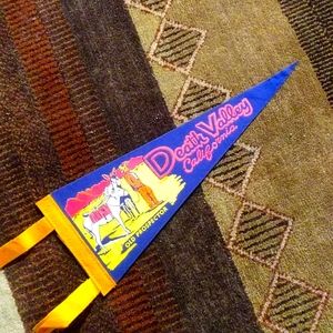 Vintage Souvenir Pennant